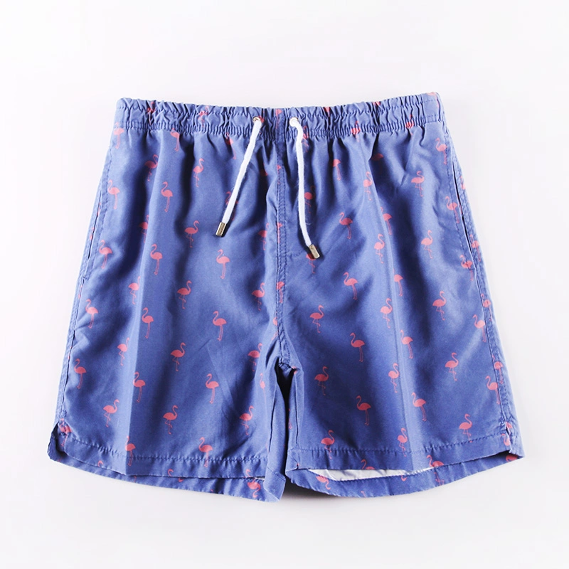 Men′ S Print Garment Wash Beach Shorts